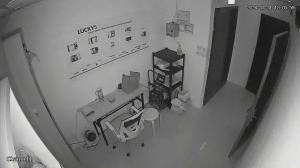 Caméra IP - Hong Kong