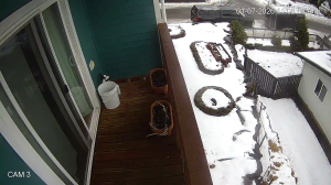 Caméra IP - États-Unis d'Amérique