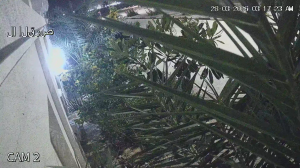 Caméra IP - Stati Uniti d'America