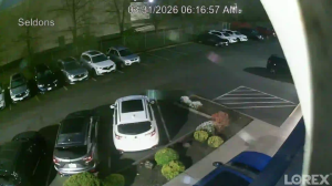 Caméra IP - United States of America