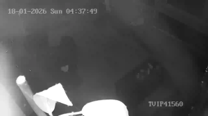 Caméra IP - Germany