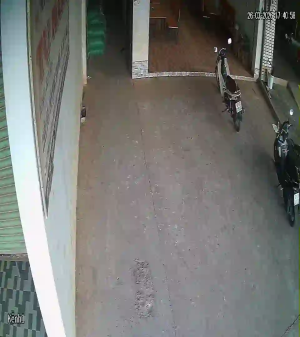 Caméra IP - Vietnam