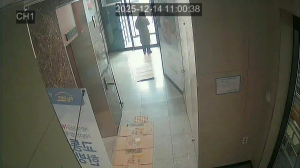 Caméra IP - South Korea