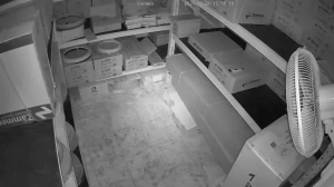 Caméra IP - Curaçao