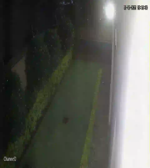 Caméra IP - Sudáfrica