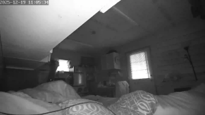 Caméra IP - Vereinigte Staaten von Amerika