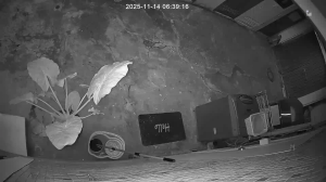 Caméra IP - South Korea