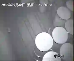 Caméra IP - Cina