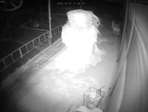 Caméra IP - República de Corea