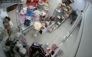 Caméra IP - Russische Föderation