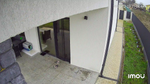 Caméra IP - Romania