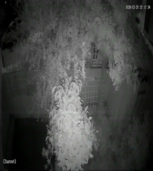 Caméra IP - Morocco