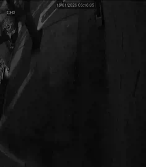 Caméra IP - Spanien