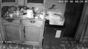 Caméra IP - Argentine