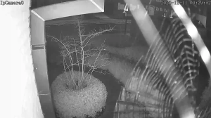 Caméra IP - Belgium