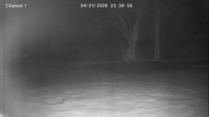 Caméra IP - Royaume-Uni