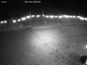 Caméra IP - United States of America