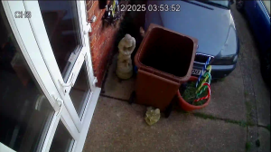 Caméra IP - United Kingdom