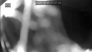 Caméra IP - Südkorea