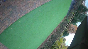 Caméra IP - Netherlands