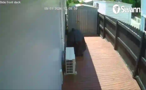 Caméra IP - Nuova Zelanda