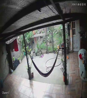 Caméra IP - Argentine