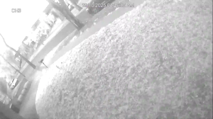 Caméra IP - Australia