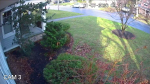 Caméra IP - United States of America