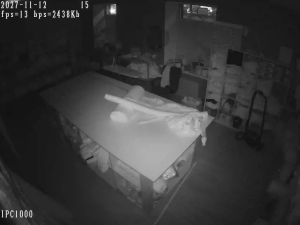 Caméra IP - Russian Federation