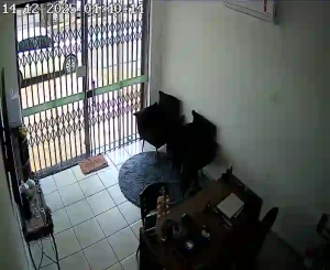 Caméra IP - Brésil