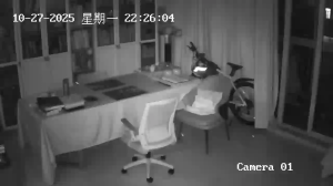 Caméra IP - Cina