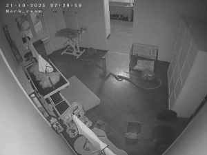 Caméra IP - Russische Föderation