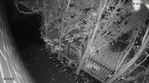 Caméra IP - Australia