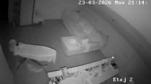 Caméra IP - Roumanie