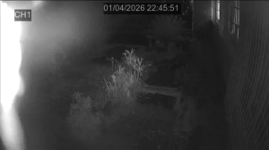 Caméra IP - Südafrika