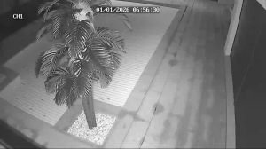 Caméra IP - Portugal