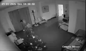 Caméra IP - Portogallo