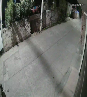 Caméra IP - Mexique