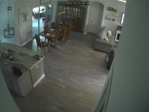 Caméra IP - United States of America