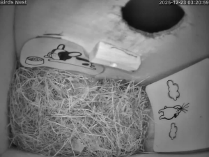 Caméra IP - Ucrania