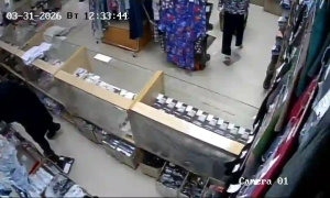 Caméra IP - Russian Federation