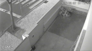 Caméra IP - Portugal