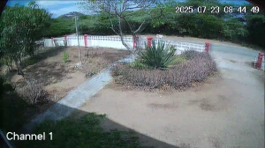 Caméra IP - Aruba