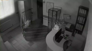 Caméra IP - Russische Föderation