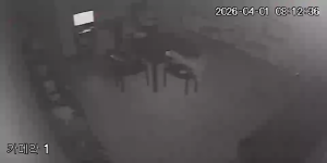 Caméra IP - South Korea