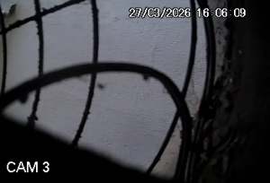 Caméra IP - Brésil