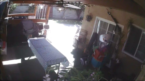 Caméra IP - United States of America