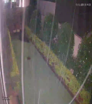 Caméra IP - Sudáfrica