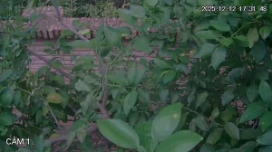 Caméra IP - Paraguay