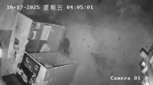 Caméra IP - Cina